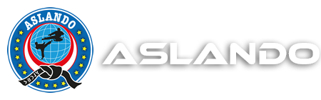 Aslando: Türk Savaş ve Savunma Sanatı